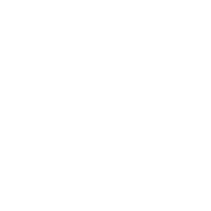 the national trial lawyers logo