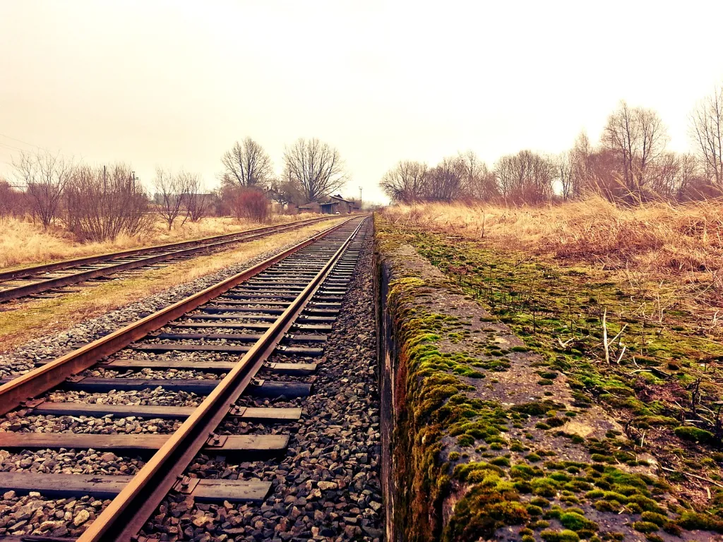 Railroad tracks running through a field with trees.